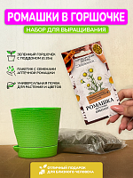 Набор для выращивания "Ромашка"